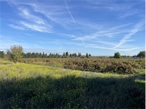 terrain a batir à la vente -   13800  BERRE L ETANG, surface 589 m2 vente terrain a batir - UBI449302193